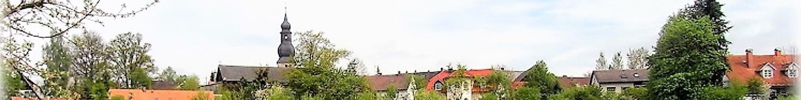 Der Obst- und Gartenbauverein Neunkirchen am Main und Umgebung im Überblick